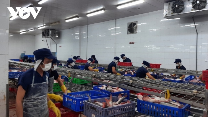 Pangasius exports to Chinese market surge over 11-month period